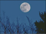 (image for) Full Moon - JM